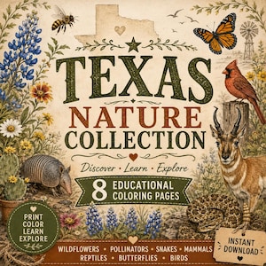 May include: A digital print titled Texas Nature Collection featuring illustrations of a bee, monarch butterfly, cardinal, armadillo, pronghorn, and rattlesnake. The design includes bluebonnets, cacti, and text: Discover, Learn, Explore, 8 Educational Coloring Pages.