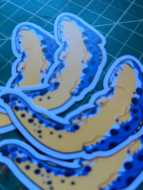 Diplocaulus - sticker