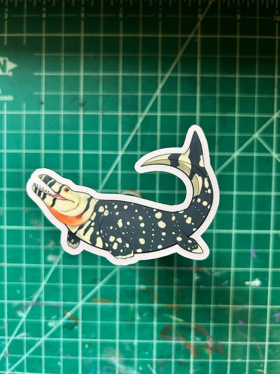 Prognathodon Matte Sticker