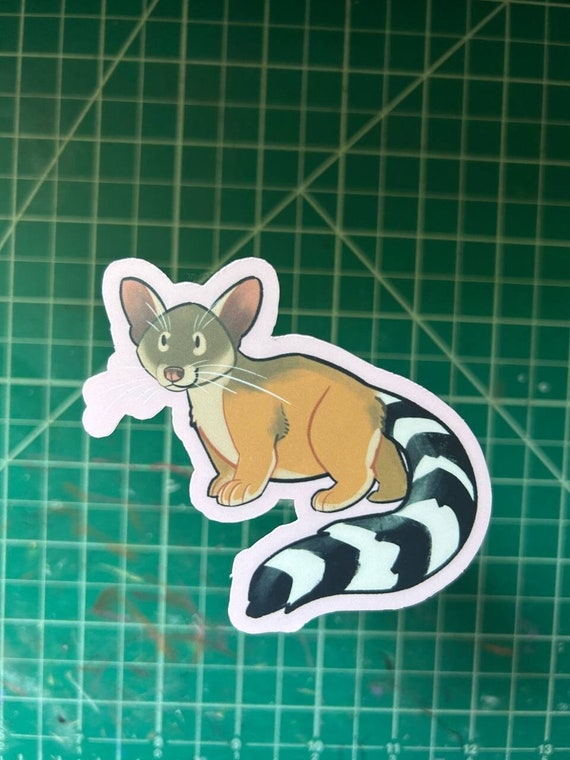 Ringtail Matte Vinyl Stickers