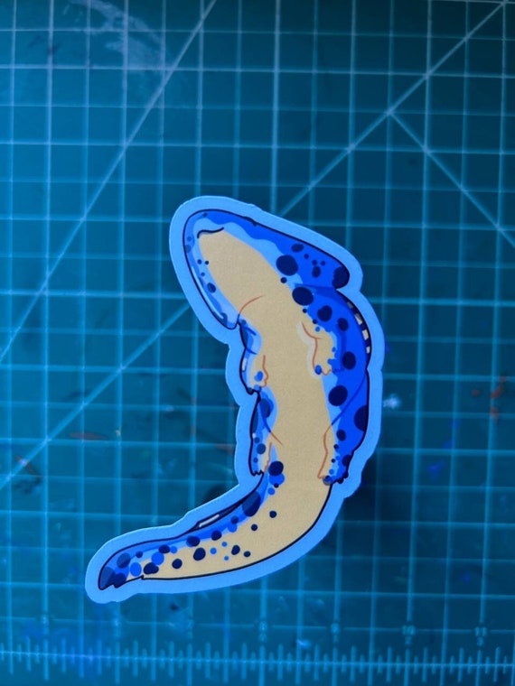 Diplocaulus Matte Vinyl Sticker