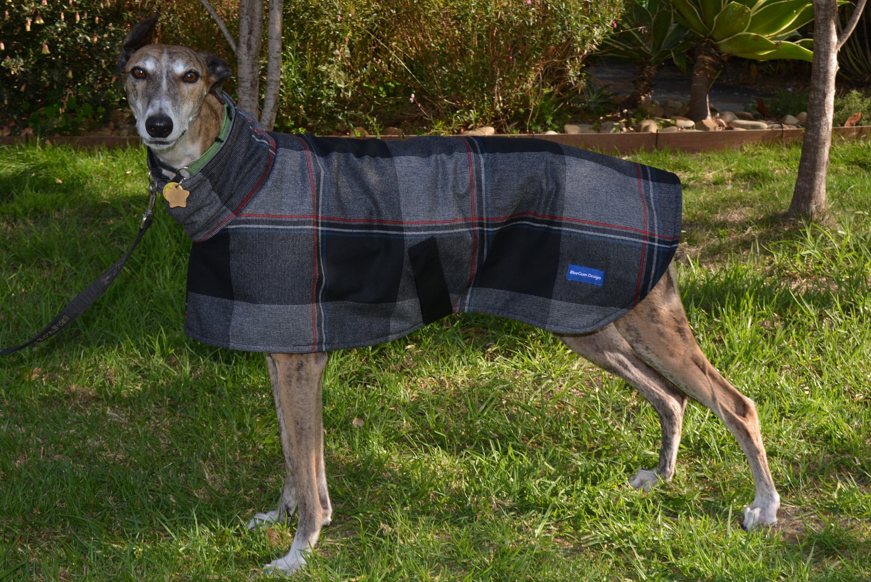 Greyhound tweed coat discount