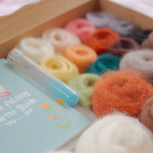 May include: A needle felting starter kit with a variety of colored wool fibers, a needle felting tool, and a guide booklet with the text "Needle felting starter guide".