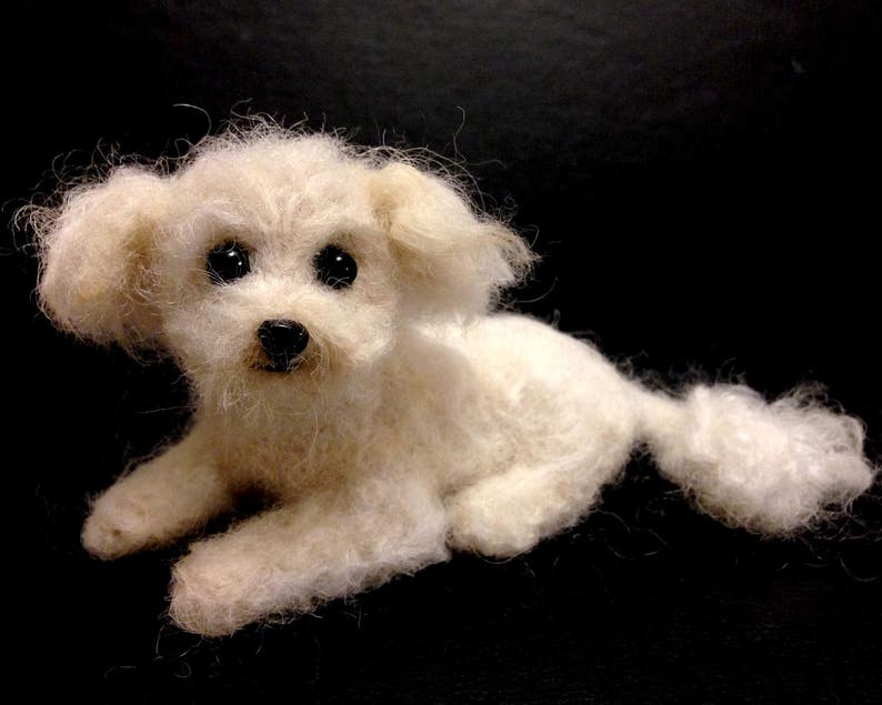 Eyes and Noses Mixed Size Assortment for Needle Felting Felt Etsy