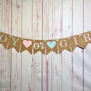 Boy or Girl Gender Reveal Banner, Boy or Girl Banner, Gender Reveal Party Decorations, Baby Shower Banner, Baby Announcement, Blue or Pink image 1