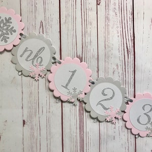 Pink Winter Onederland Photo Banner, Snowflake Photo Banner, Snowflake First Birthday, 1st Birthday Winter Wonderland, Winter 1st Birthday image 1