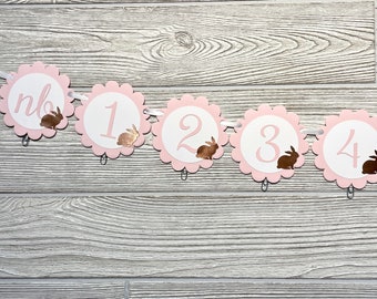 Rose Gold and Pink Bunny Monthly Photo Banner, Some Bunny Is Turning One, NB to 12 Month Bunny Photo Banner, Bunny 1st Birthday, First Year