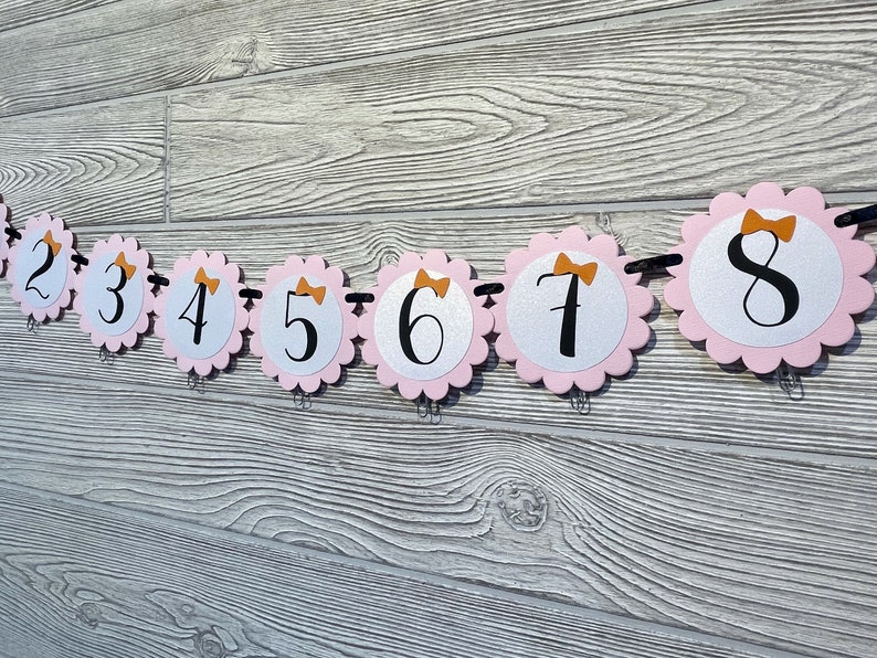 Pink Halloween Photo Banner, Spooky One Month Banner, Our Little Boo Is Turning One, Halloween 1st Birthday Girl, Halloween Milestone Banner image 4