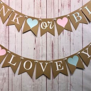 Pink or Blue We Love You Banner, Boy or Girl Banner, Gender Reveal Party, Gender Neutral, Baby Shower Banner, Baby Announcement, He or She image 4