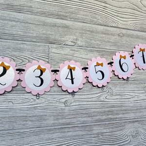 Pink Halloween Photo Banner, Spooky One Month Banner, Our Little Boo Is Turning One, Halloween 1st Birthday Girl, Halloween Milestone Banner image 3