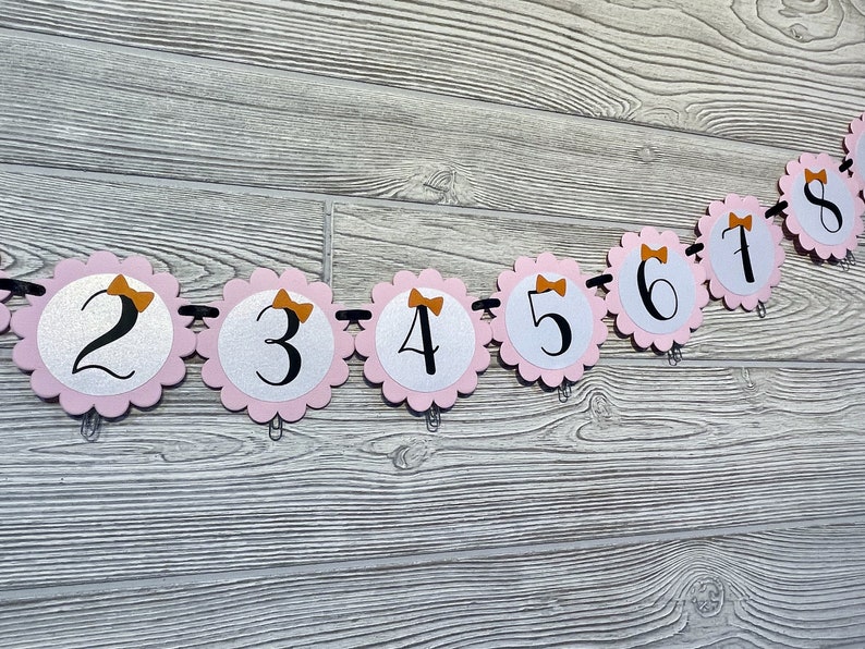 Pink Halloween Photo Banner, Spooky One Month Banner, Our Little Boo Is Turning One, Halloween 1st Birthday Girl, Halloween Milestone Banner image 3