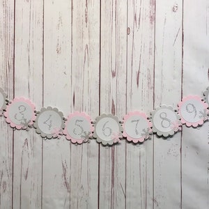 Pink Winter Onederland Photo Banner, Snowflake Photo Banner, Snowflake First Birthday, 1st Birthday Winter Wonderland, Winter 1st Birthday image 4