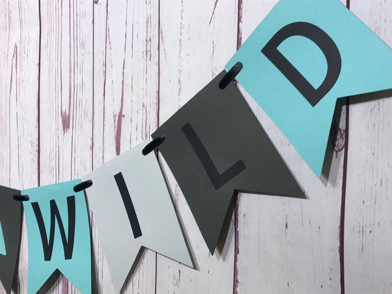 Two Wild Birthday, Two Wild Banner, 2nd Birthday, Second Birthday, Two Wild Boy, Tribal Party, Teepee, Boy Birthday Party, Birthday Banner image 5