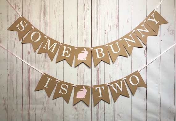Some Bunny Is Two, 2nd Birthday Banner, Bunny Birthday Banner, Easter Birthday, Pink Bunny Birthday, Second Birthday Girl, Bunny Party Decor Il_570xn