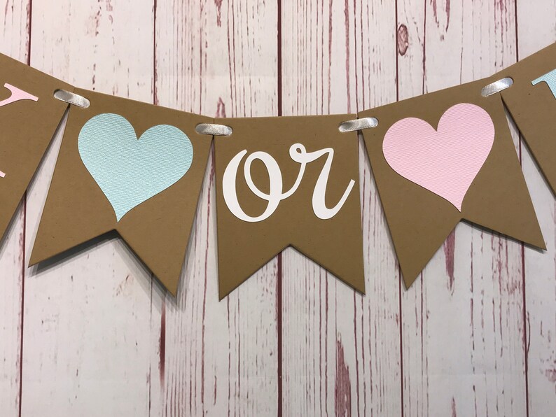 Pink or Blue We Love You Banner, Boy or Girl Banner, Gender Reveal Party, Gender Neutral, Baby Shower Banner, Baby Announcement, He or She image 3