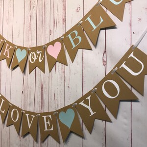 Pink or Blue We Love You Banner, Boy or Girl Banner, Gender Reveal Party, Gender Neutral, Baby Shower Banner, Baby Announcement, He or She image 5