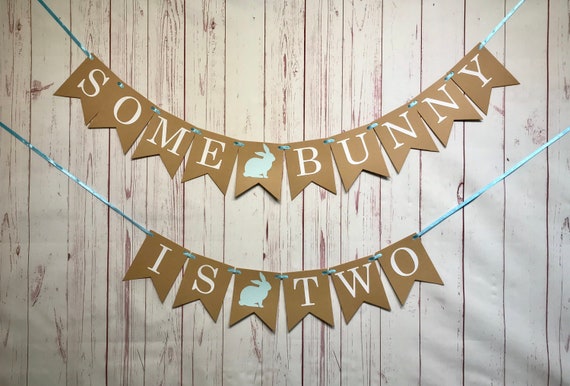 Some Bunny Is Two, 2nd Birthday Banner, Bunny Birthday Banner, Easter Birthday, Blue Bunny Birthday, Second Birthday Boy, Bunny Party Decor Il_570xn