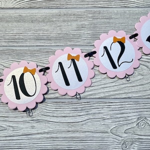 Pink Halloween Photo Banner, Spooky One Month Banner, Our Little Boo Is Turning One, Halloween 1st Birthday Girl, Halloween Milestone Banner image 5