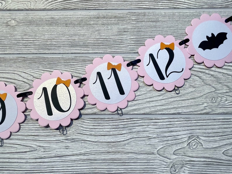 Pink Halloween Photo Banner, Spooky One Month Banner, Our Little Boo Is Turning One, Halloween 1st Birthday Girl, Halloween Milestone Banner image 5