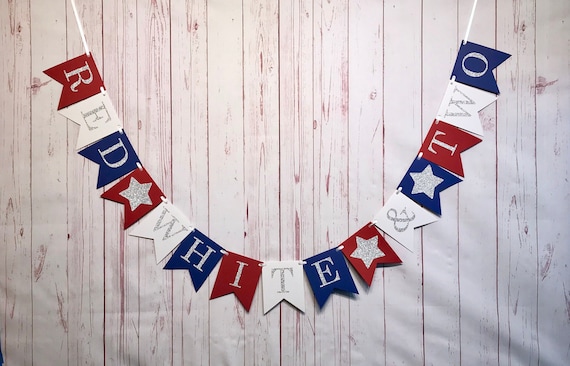 Red White and Two Birthday Banner, Little Firecracker Birthday, 2nd Birthday Decorations, Red White and Blue, Fourth of July Birthday Decor Il_570xn