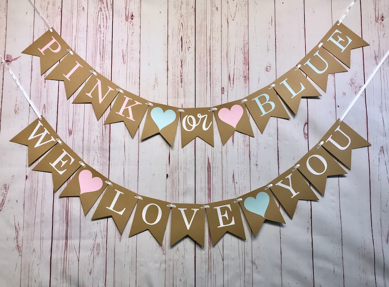 Pink or Blue We Love You Banner, Boy or Girl Banner, Gender Reveal Party, Gender Neutral, Baby Shower Banner, Baby Announcement, He or She image 1