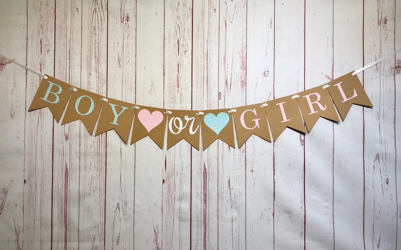 Boy or Girl Gender Reveal Banner, Boy or Girl Banner, Gender Reveal Party Decorations, Baby Shower Banner, Baby Announcement, Blue or Pink image 1