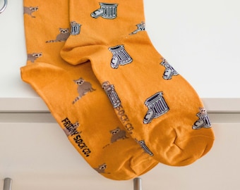 Men's Raccoon & Trashcan Socks  | Friday Sock Co. | Mismatched Socks | Trash Panda Socks | Cheeky Gifts for Him | Boyfriend Gift