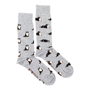 Men’s Socks | Bernese Mountain Dog | Friday Sock Co Mismatched Socks | Dog Socks | Dog Lover | Cute Socks