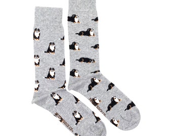 Meias masculinas | Bernese Mountain Dog | Meias incompatíveis Friday Sock Co | Meias para cães | Dog Lover | Meias fofas
