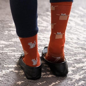 Orange Cat & Box | Women's Socks | Friday Sock Co Mismatched Socks | Cat Socks | Cat Lover | Cat Person Gift | Cute Socks | Socks for Women