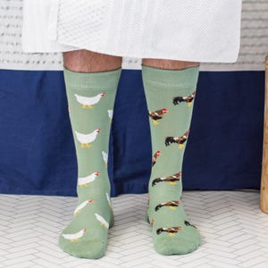 Mens Socks | Chickens and Roosters | Friday Sock Co Mismatched Socks | Farm Animal Socks | Farmer Gifts | Gifts for Animal Lovers