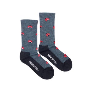 May include: A pair of gray socks with a ladybug pattern. The socks have black heels and toes and say "FRIDAY SOCK CO." on the bottom.