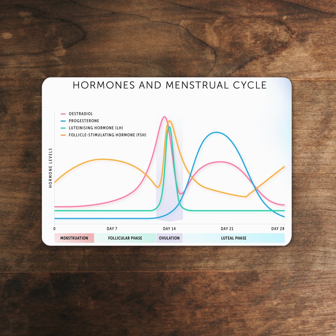Hormones Sticker Hormones & Menstrual Cycle Sticker - Etsy