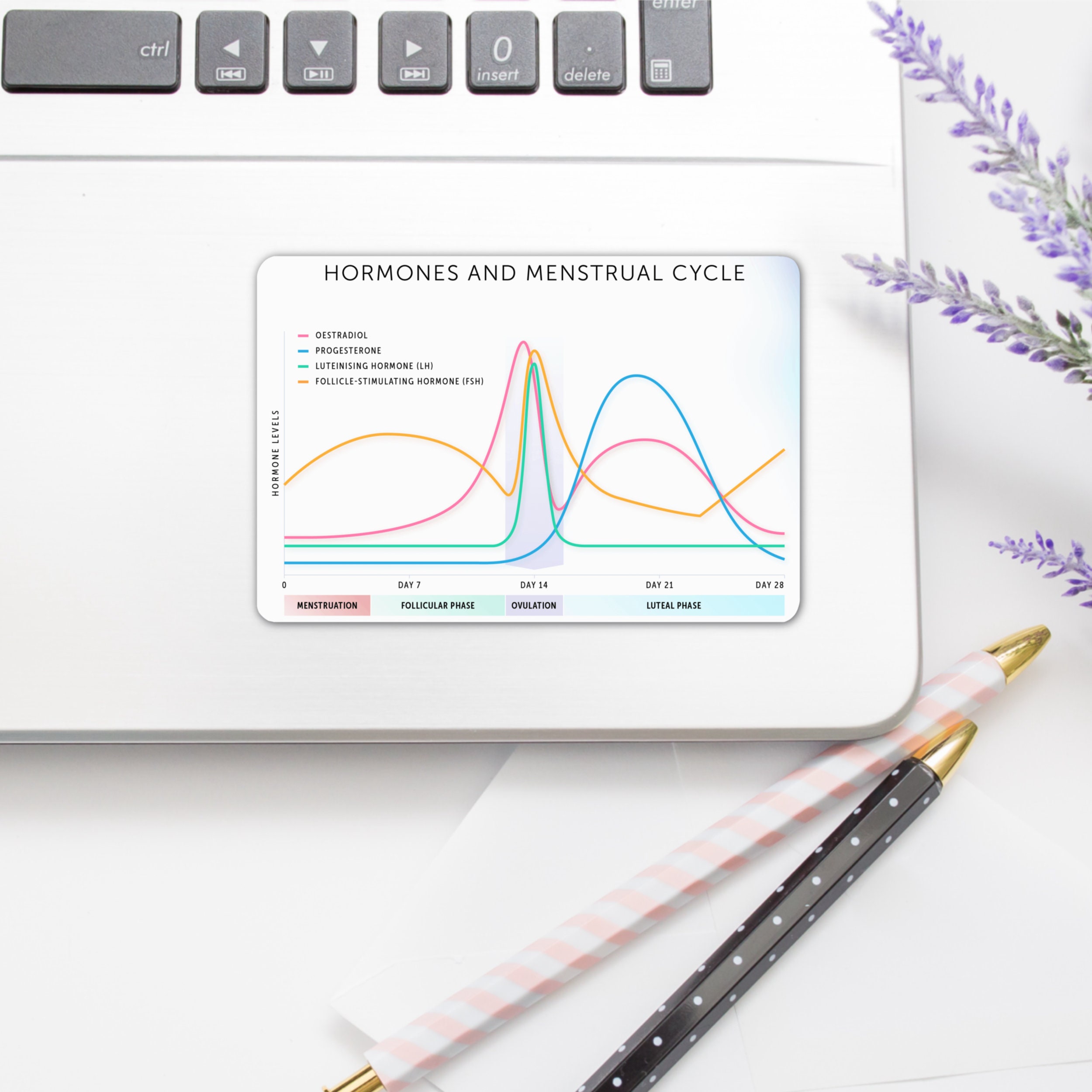 Hormones Sticker Hormones & Menstrual Cycle Sticker - Etsy