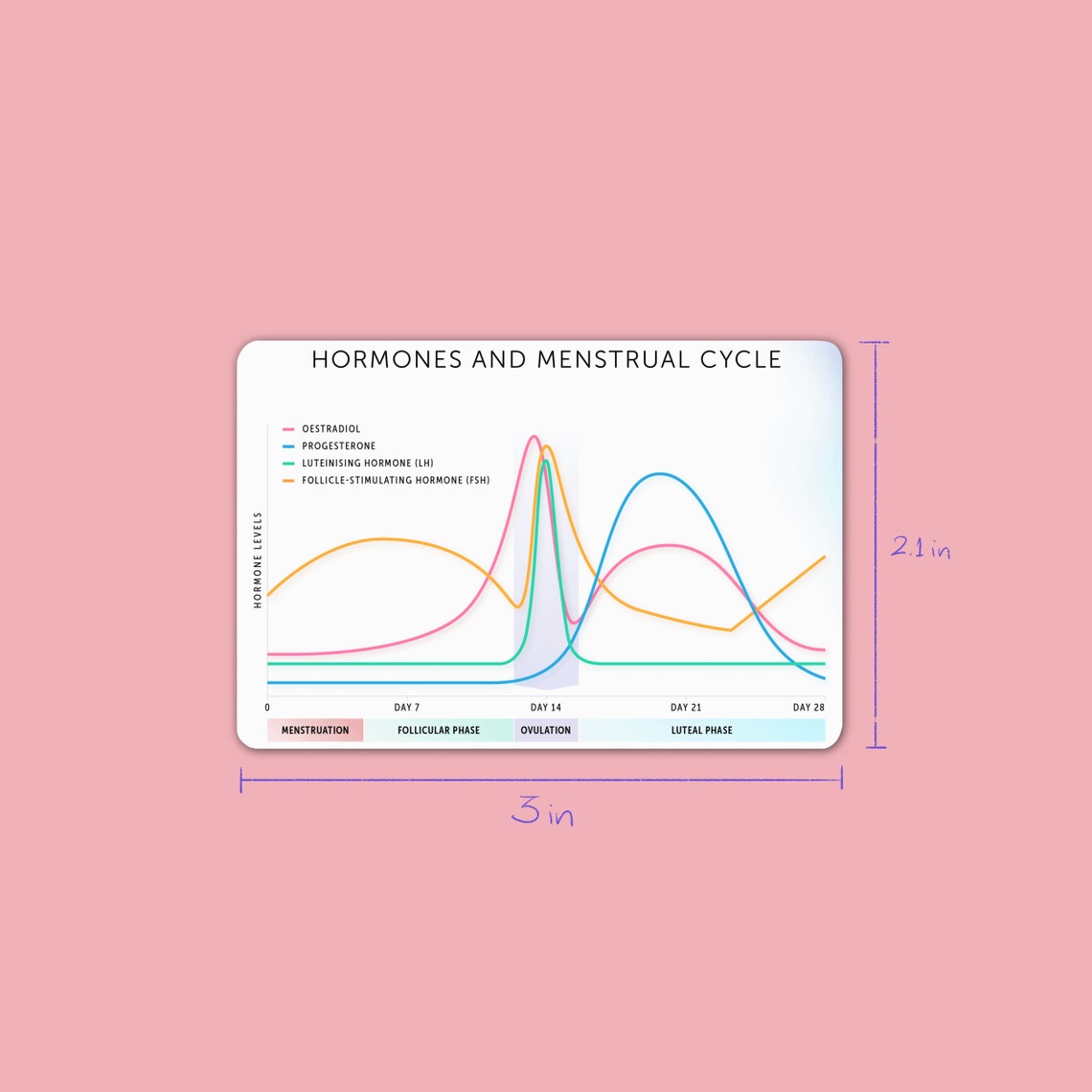 Hormones Sticker Hormones & Menstrual Cycle Sticker - Etsy