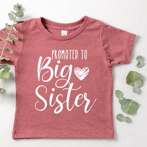 Big Sis || Big Sis Shirt || Big Sister Shirt || Promoted to Big Sister || New Baby Announcement || Baby Announcement || New Baby