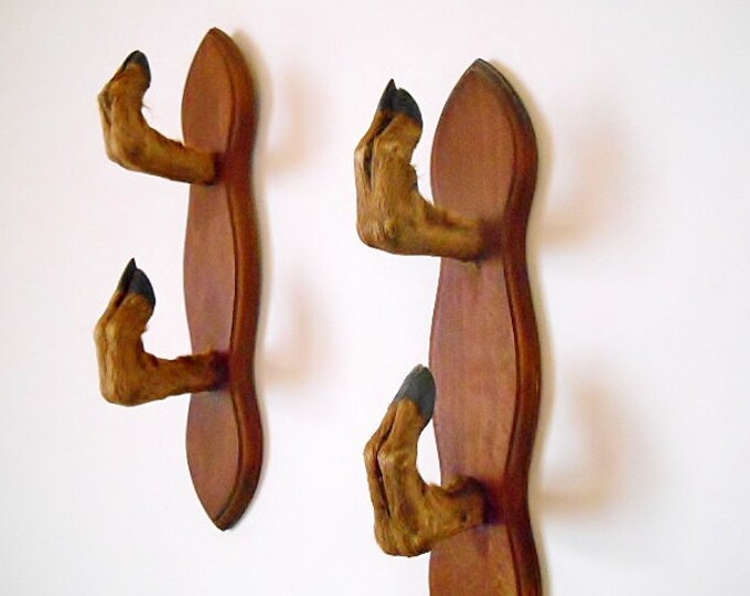 Rustic Deer Hoof Gun Racks Vintage French Double Deer Legs Rifle Racks