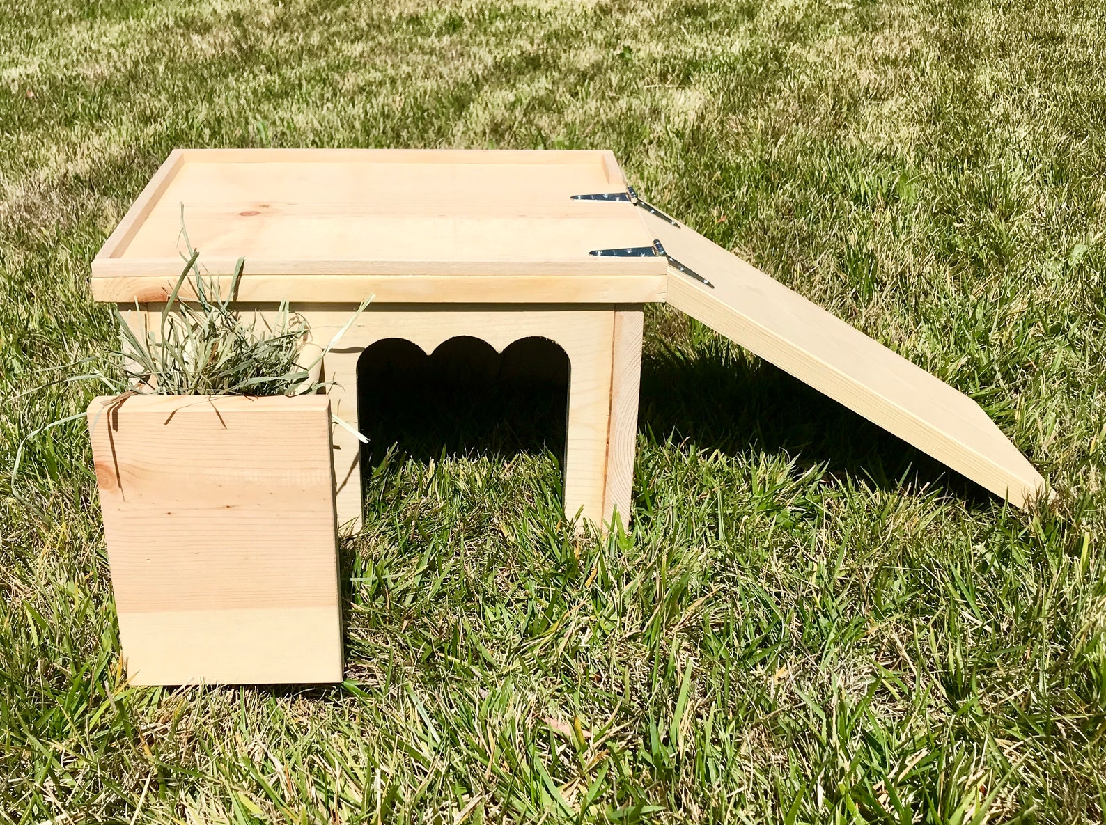 CUSTOM Small Animal Houses Etsy