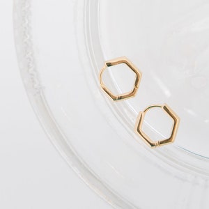 Hexagon huggies
