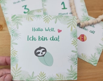 25 Meilensteinkarten Baby, Baby-Monatskarten, Faultier, Geschenk zur Geburt, Babyparty, Babyshower