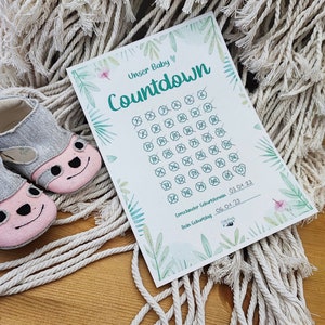 Cuenta Regresiva para bebés, Calendario de embarazo, DIN A5, Bebé, Selva tropical, Selva, Naturaleza, Embarazo
