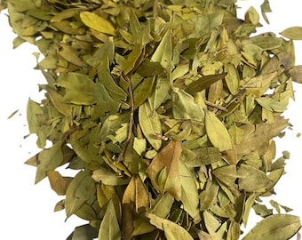 Myrtle Leaves (Whole Leaf) - Myrtus communis - 100 grams