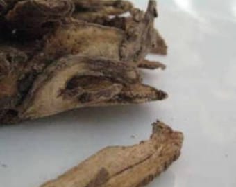 Du Huo – Angelica pubescens - 50 grams