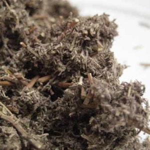 Roman Wormwood Cut and Dried Herb Artemisia pontica Small Absinthe 100 grams _ Tea image 1