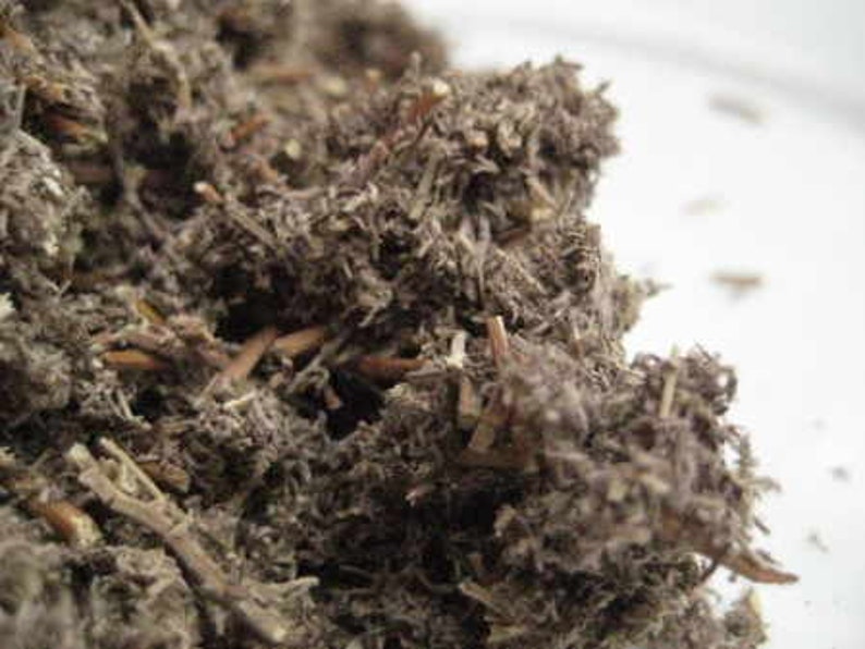 Roman Wormwood Cut and Dried Herb Artemisia pontica Small Absinthe 100 grams _ Tea image 1