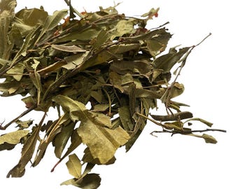 Bog Myrtle Leaf Sprigs  Myrica Gale Sweet Gale 50 grams Herbal Tea from Herbs and Spices