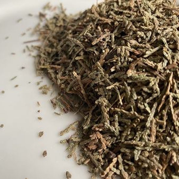 Oriental Thuja Leaf (Dried & Cut) – Platycladus orientalis – Ce Bai Ye - 100 grams - Origin China
