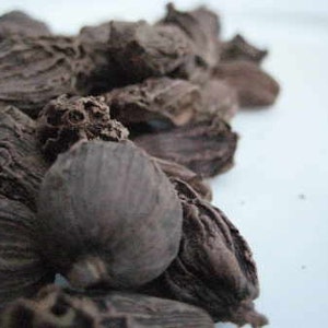 Black Cardamom Pods – Amomium tsao-ko - 50 grams