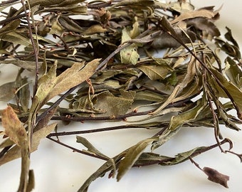 Bog Myrtle Leaf Sprigs  Myrica Gale Sweet Gale 50 grams from Herbs and Spices