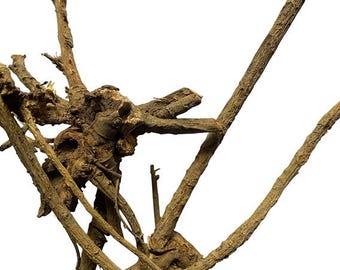 Wild Whole Wildcrafted and Dried Root - Baptisia australis - 50 grams - natural dye